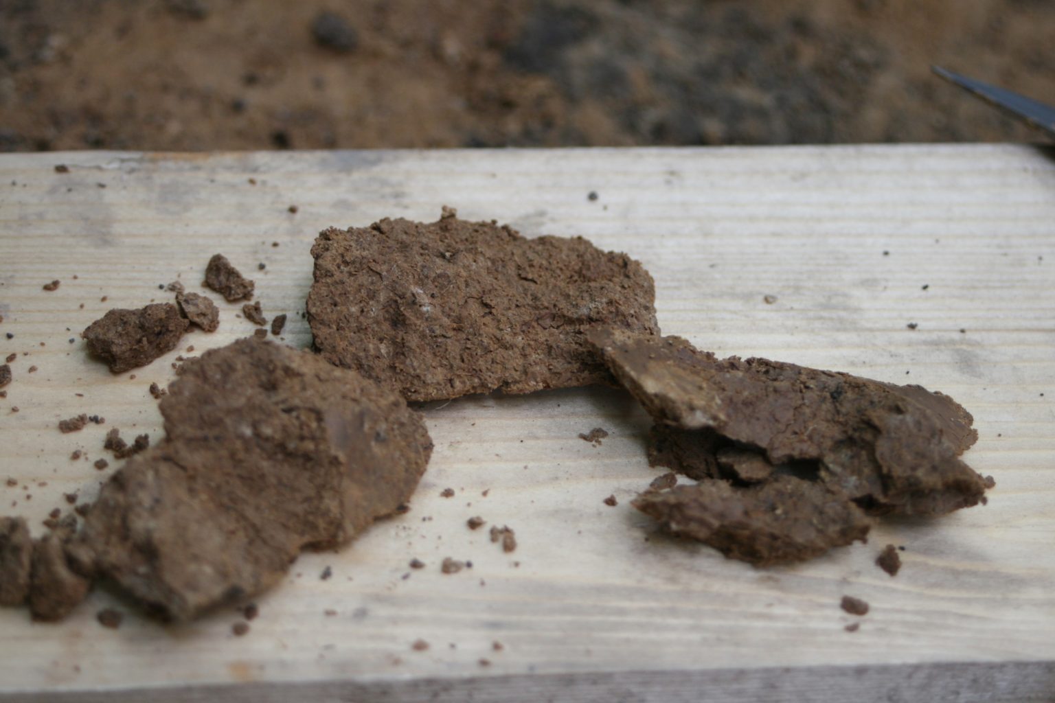 Soil Science Society Belgium SSSB BBVSBSS